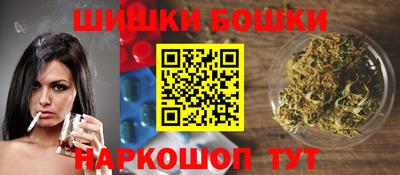 молекула духа Новозыбков