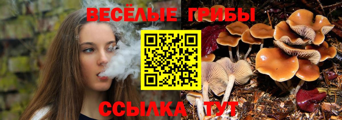 Галлюциногенные грибы мухоморы Хабаровск