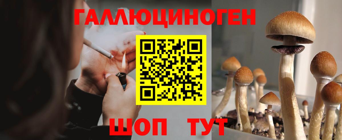 Хабаровск  Галлюциногенные грибы прущие грибы  Псилоцибиновые грибы мицелий  Вход с VPN 
